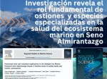 Portada paper Austrochlamys natans, Parry, Almirantazgo, Biología Marina UMAG 2024