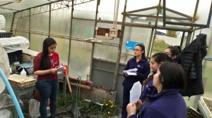 Nutrición y Dietética realiza actividad educativa Menos Sellos, Mas Salud 2017 (9)