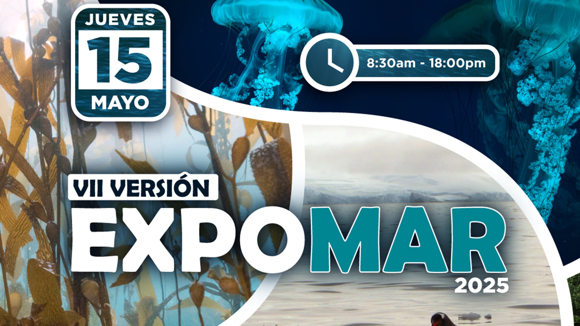 EXPOMAR 2025 invita a la comunidad a descubrir los secretos del mundo marino