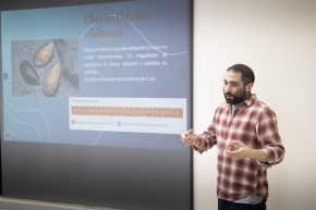 Talleres gratuitos fortalecen la educación ambiental marina en Punta Arenas