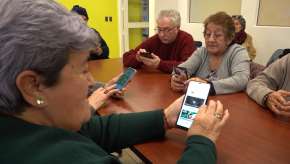 UMAG desarrolla innovadora app que conecta a personas mayores con el mundo de las plantas medicinales