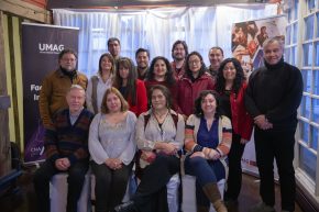 Académicos de la Facultad de Ingeniería se capacitan en metodologías docentes activas
