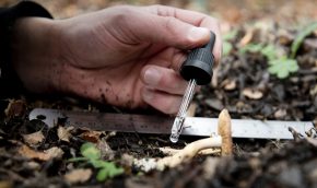 UMAG y UTAL adjudican proyecto colaborativo de Ciencia 2030 para alimentación animal