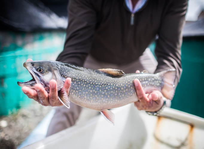 UMAG se adjudica fondos para fortalecer gestión de pesca recreativa en áreas protegidas