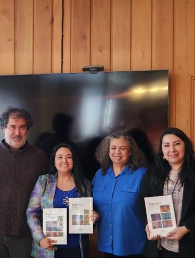 UMAG realiza pasantía en la ULagos en relación a competencias docentes en género y aseguramiento de la calidad