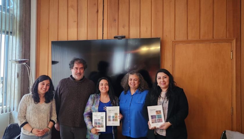 UMAG realiza pasantía en la ULagos en relación a competencias docentes en género y aseguramiento de la calidad