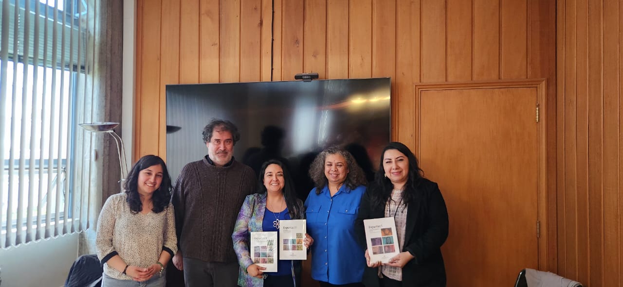 UMAG realiza pasantía en la ULagos en relación a competencias docentes en género y aseguramiento de la calidad