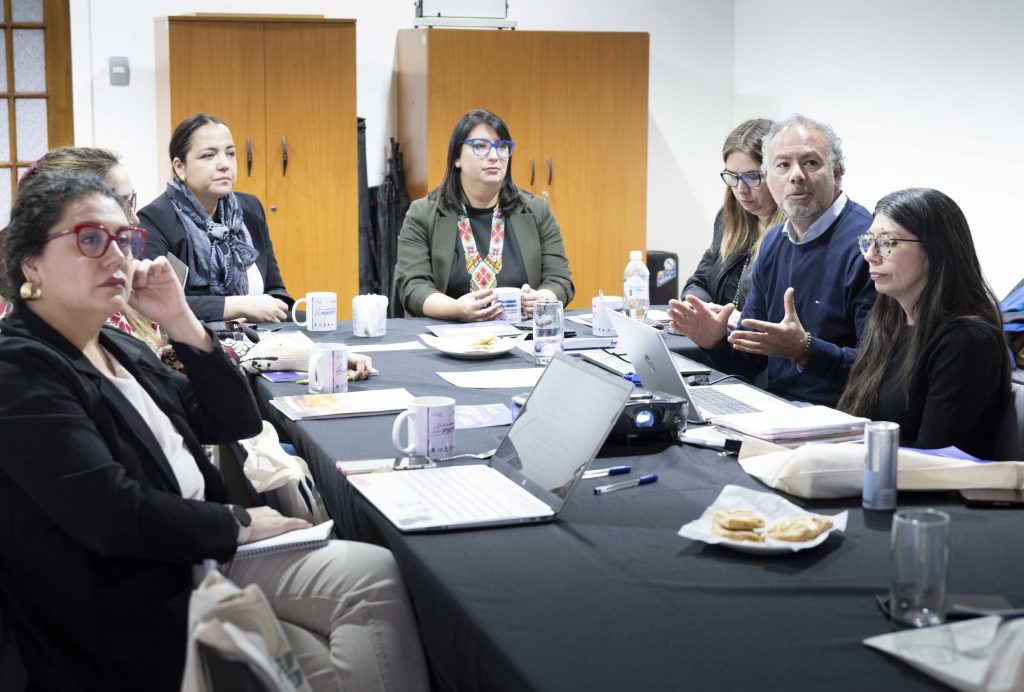 Avanza el Plan de Igualdad de Género de la UMAG con visita de asesor del CUECH y reactivación del Comité triestamental de Género