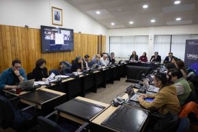 El 13 y 14 de agosto sesionará por primera vez  el nuevo Consejo Superior de la Universidad de Magallanes