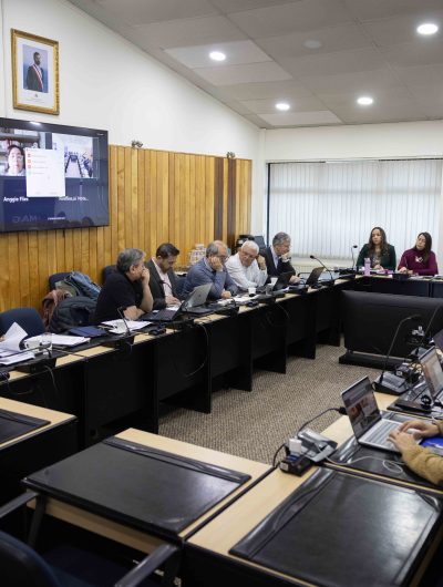 El 13 y 14 de agosto sesionará por primera vez  el nuevo Consejo Superior de la Universidad de Magallanes