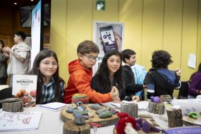 Festival Micelio Austral convocó gran cantidad de público en torno al Reino Fungi 