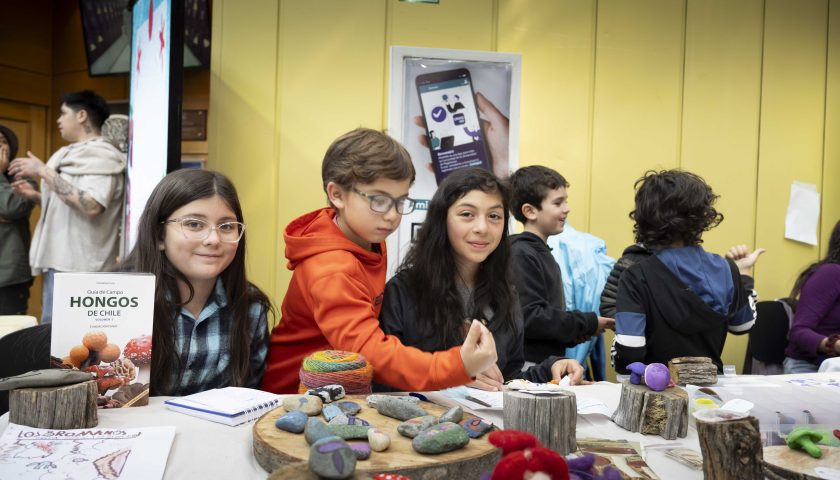 Festival Micelio Austral convocó gran cantidad de público en torno al Reino Fungi 