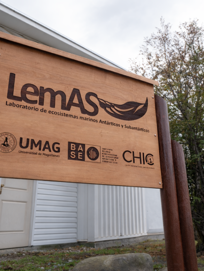 Nuevo espacio de colaboración e interdisciplina científica en la región de Magallanes