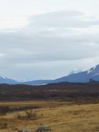 Estudio confirma la viabilidad de los bonos de carbono en la estepa de Magallanes