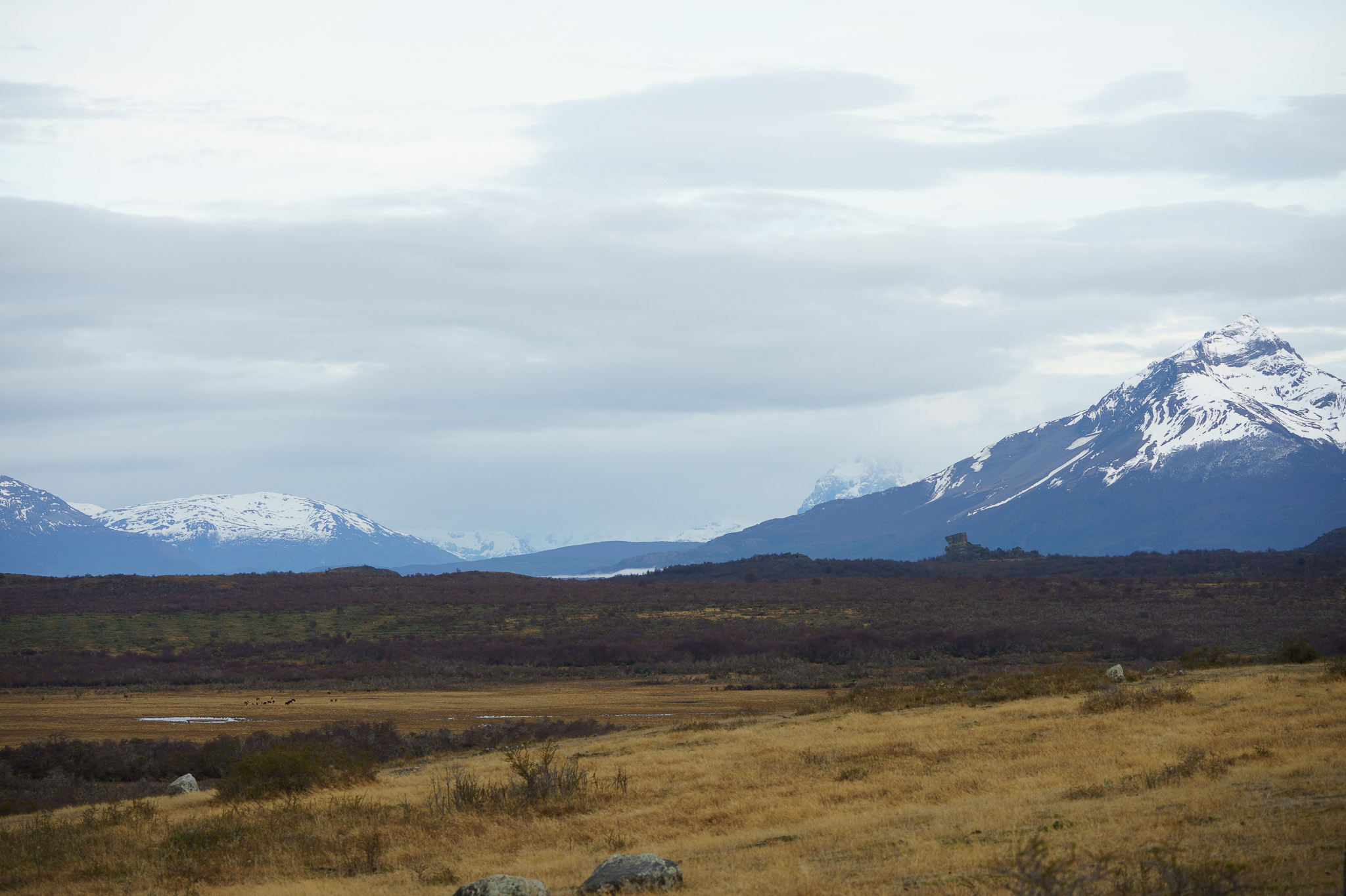 Estudio confirma la viabilidad de los bonos de carbono en la estepa de Magallanes