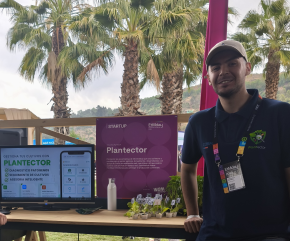 Estudiante impulsa innovadora app con inteligencia artificial para detectar enfermedades en cultivos