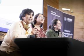 Seminario abordó desafíos y buenas prácticas para fortalecer la inclusión en educación superior