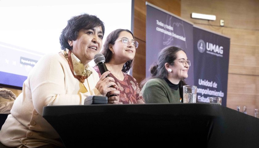 Seminario abordó desafíos y buenas prácticas para fortalecer la inclusión en educación superior