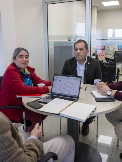 Nuevo equipo VRIIP proyecta sus desafíos para fortalecer la investigación y el vínculo territorial