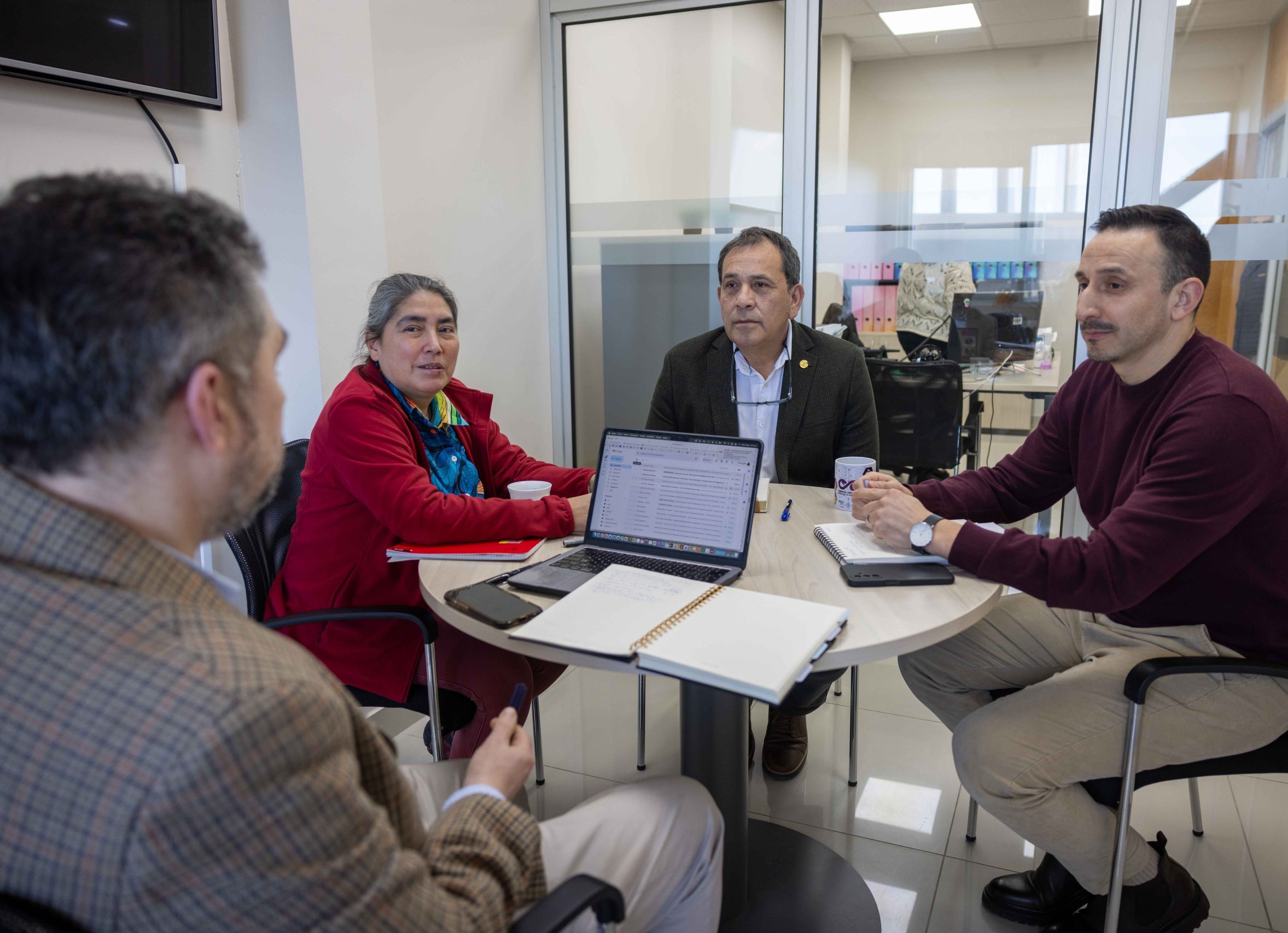 Nuevo equipo VRIIP proyecta sus desafíos para fortalecer la investigación y el vínculo territorial