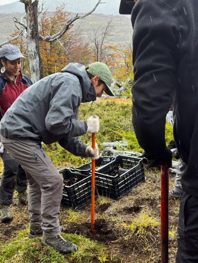 Estudiantes de Turismo Sostenible plantan 1.000 árboles para reforestar entorno de Torres del Paine