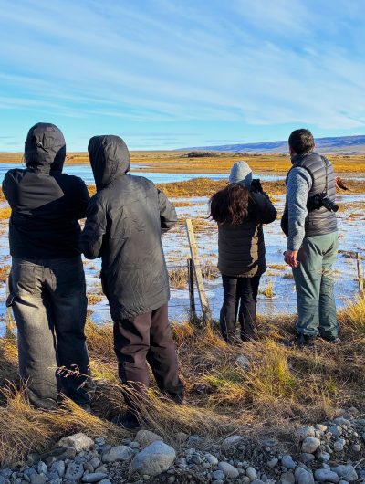 Estudiantes de Turismo Sostenible participaron en Censo Neotropical de Aves Acuáticas en Magallanes