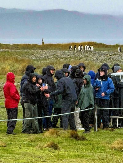 Estudiantes conocieron experiencias de conservación y desarrollo turístico en la Reserva Natural Pingüino Rey